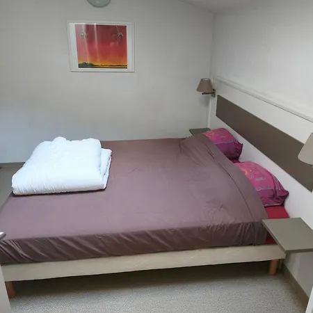 Appartement F2 Piscine Et Jardin - Saint-cyprien